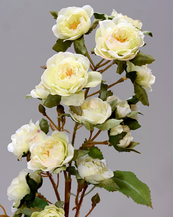 Rose Minnie 18.5" Light Green