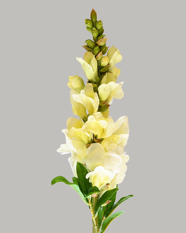 Snapdragon 23" Yellow