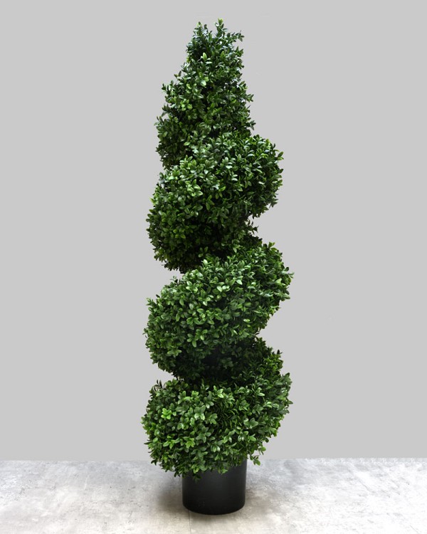 Boxwood Spiral Tree 45"H