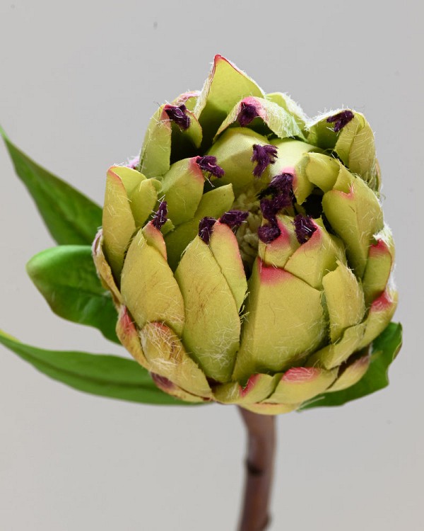 Mink Protea 29" Green