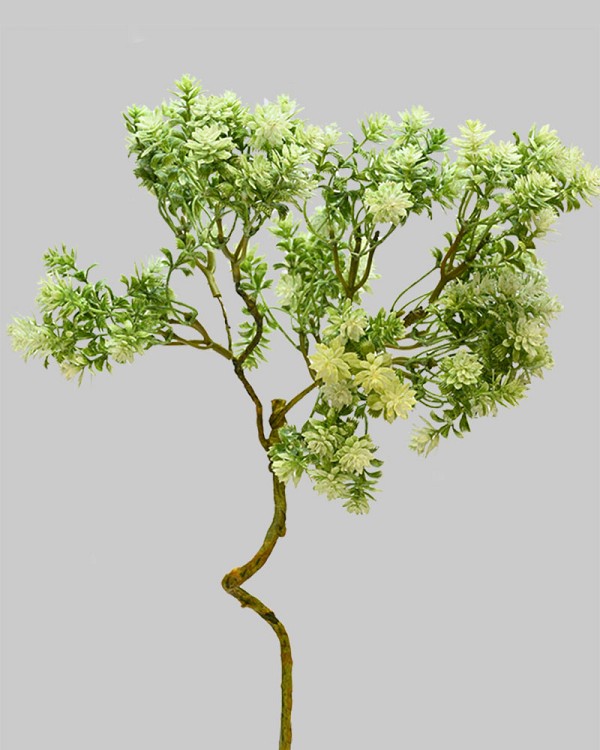 Sedum Spray 18" Green