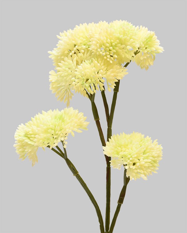 Sedum Spray 12" Cream