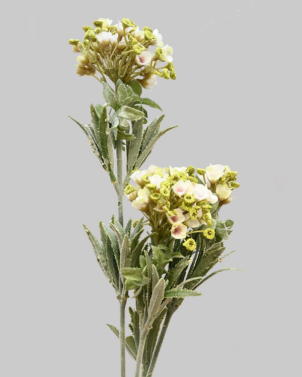 Mountain Laurel 30" White/Pink