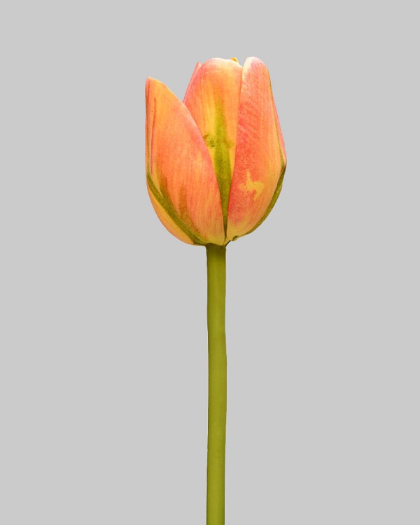 Tulip 15.5" Orange/Green