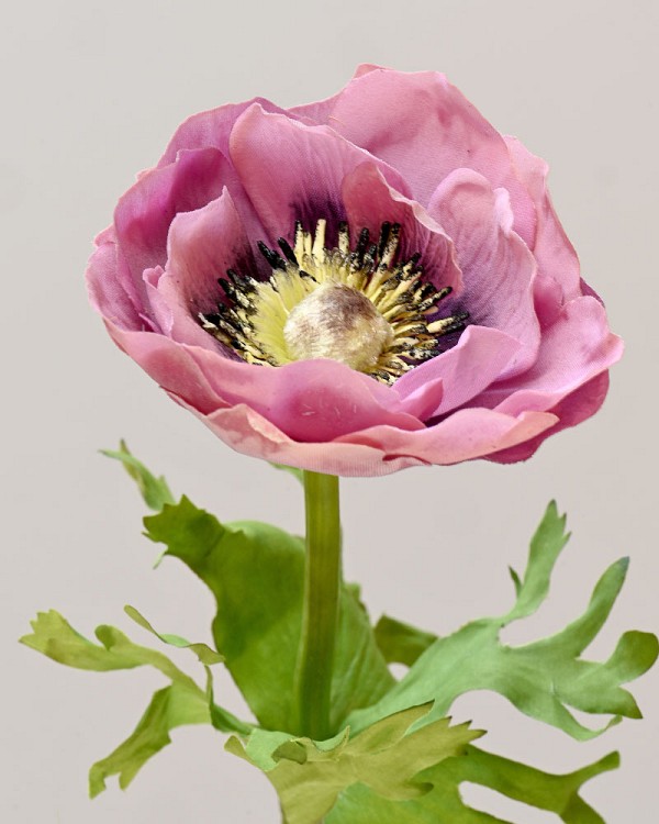 Anemone 17.5" Lavender