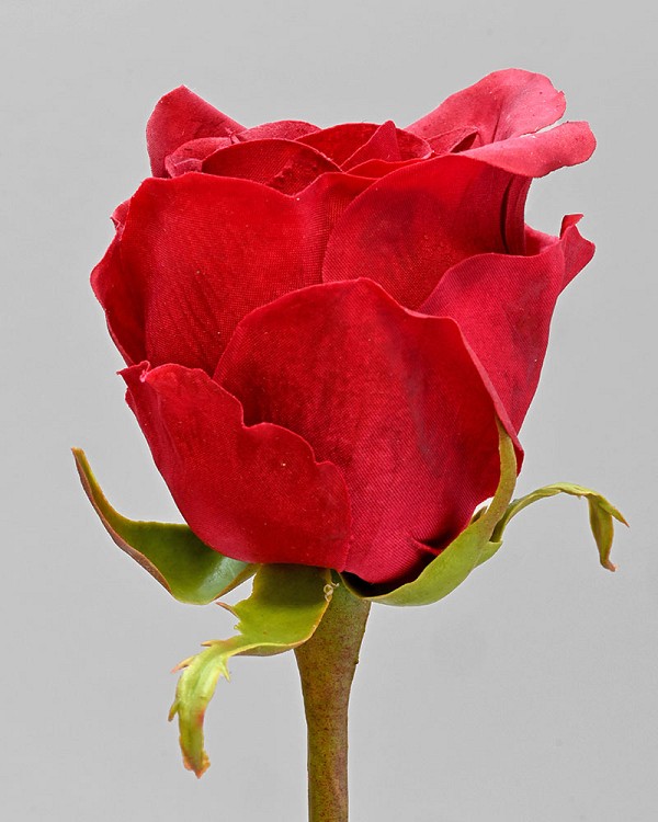 Rose Bud 20.5" Red