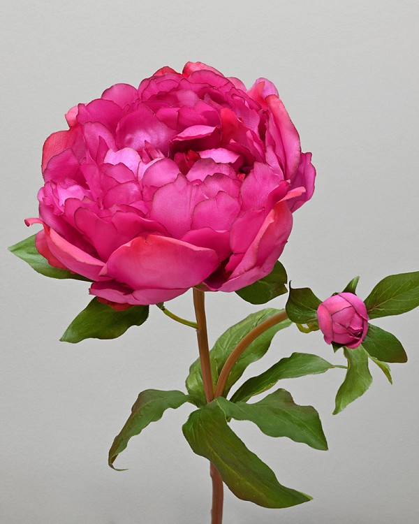 Peony Open 19.5" Dark Pink