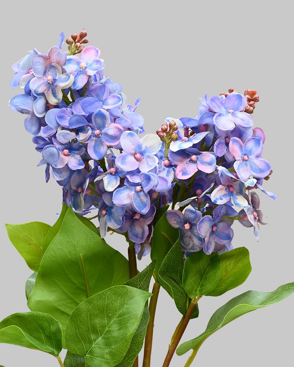 Lilac 27.5" Light Blue/Pink