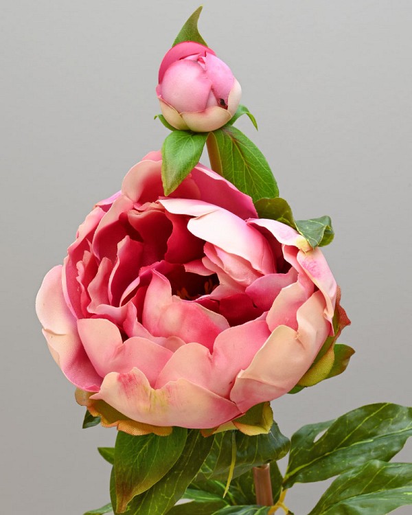 Peony with Bud 23" Fuchsia