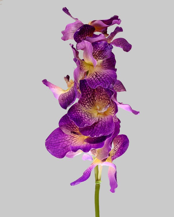 Vanda Orchid 36.5" Purple