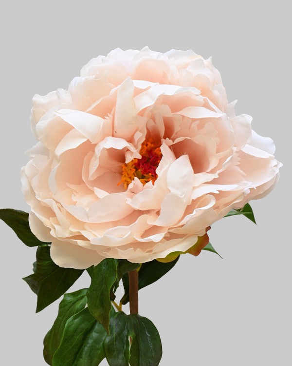 Peony 20.5" Dusty Peach