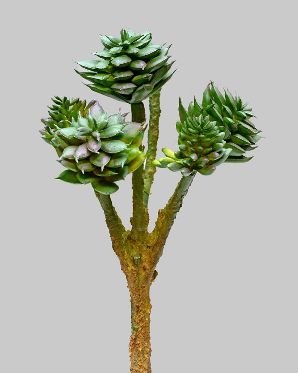 Rounded Succulent Pick 10.5" Green/Purple