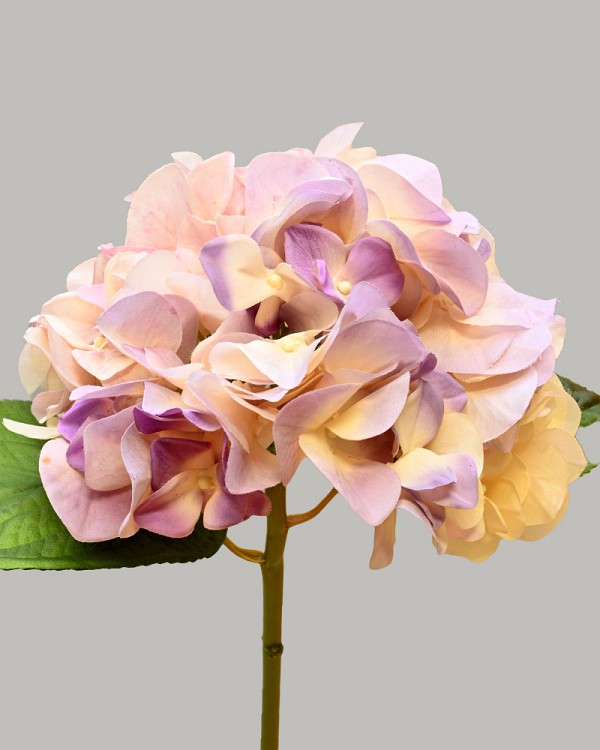 Hydrangea 20" Cream/Purple