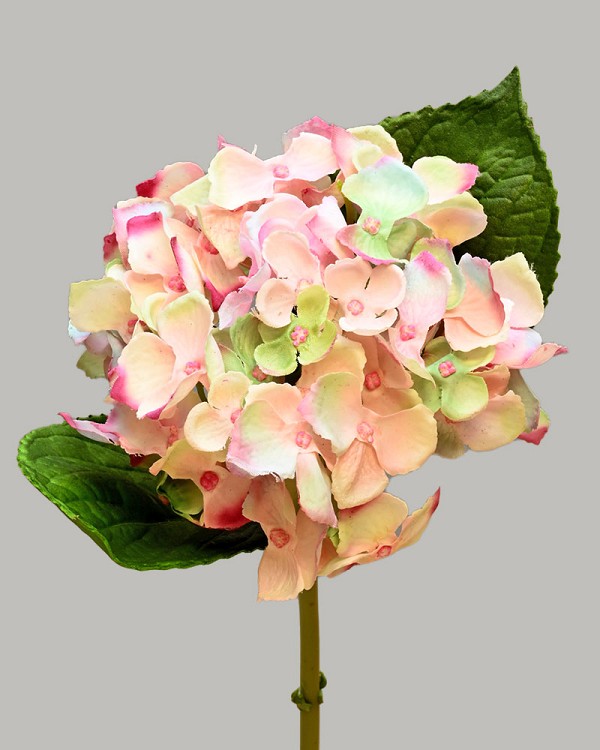 Hydrangea 18" Mauve/Green