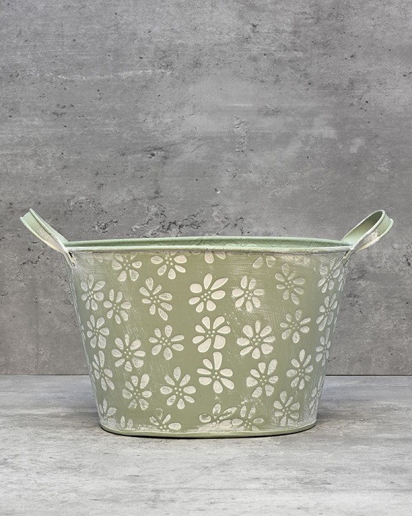 Oblong Daisy Container - Green 5.5"H