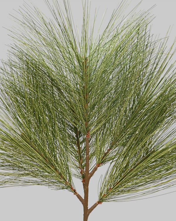 Long Needle Pine Spray 24" Green