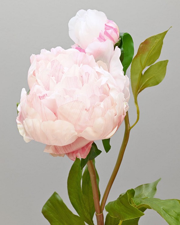Peony Open with Bud 19.5" White/Pink