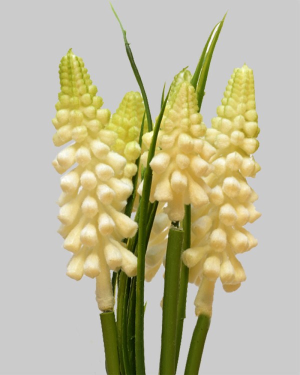 Muscari Bundle 10" White