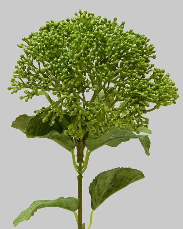 Skimmia Spray 12.5" Dark Green