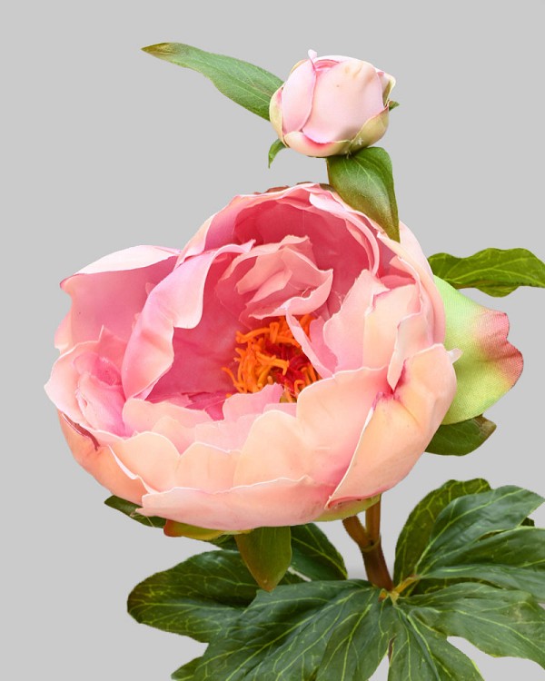 Peony with Bud 23" Pink