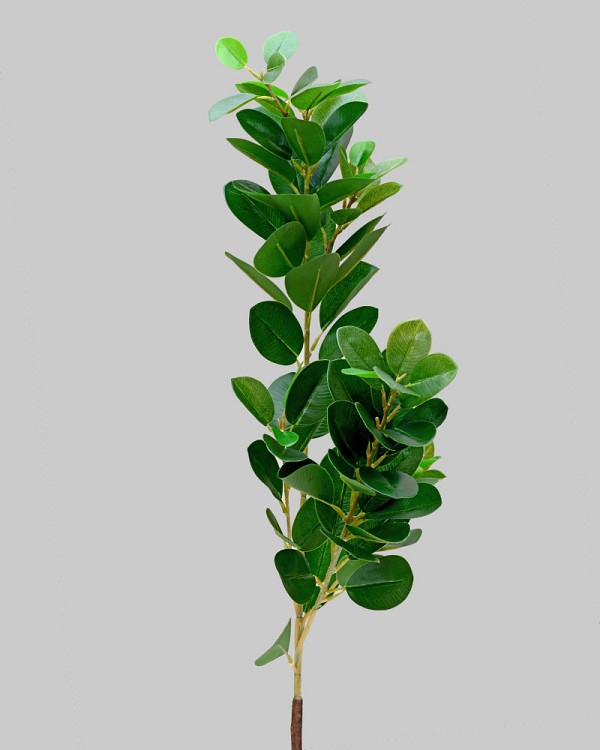 Italian Ficus Branch 28" Green
