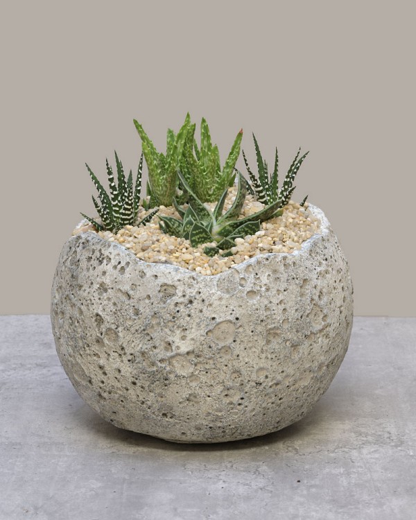Moonstone Planter