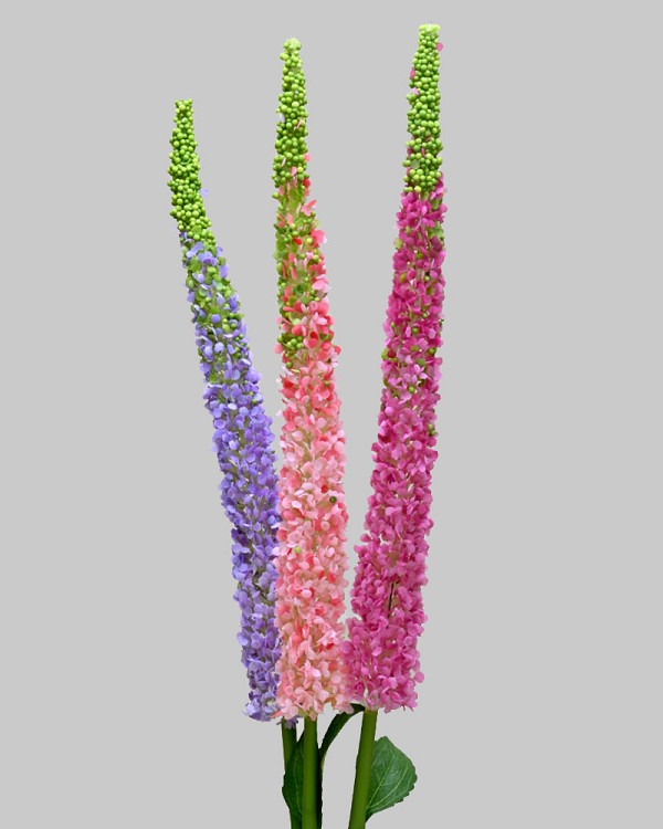 Veronica Bundle 44" Pink/Purple