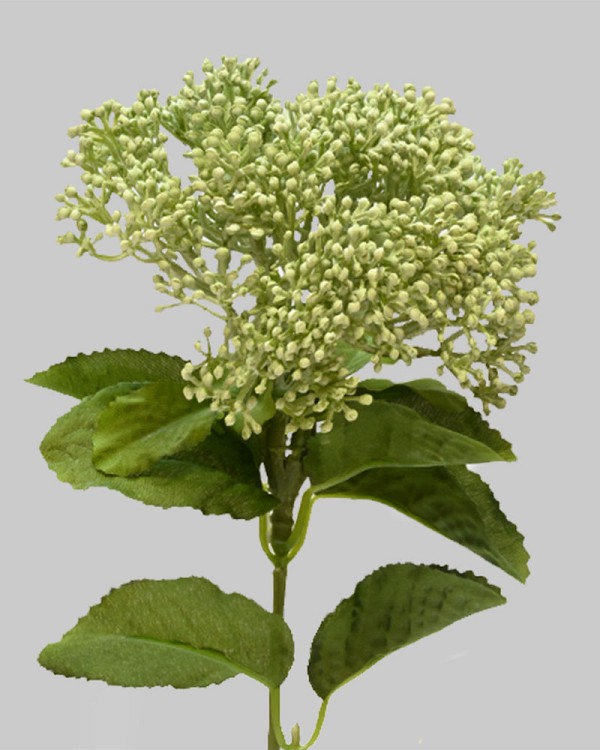 Skimmia Spray 12.5" Light Green
