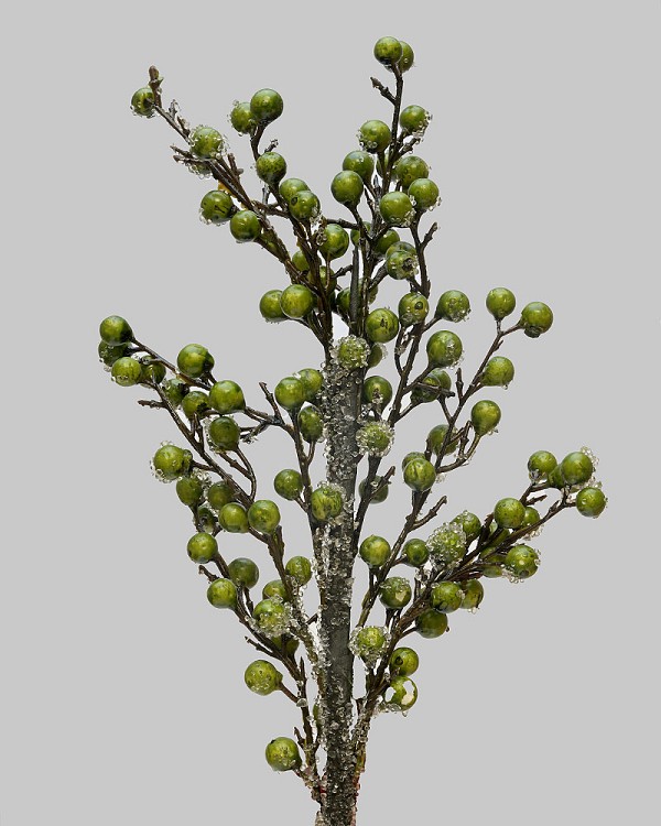 Iced Berry Branch 22" Green