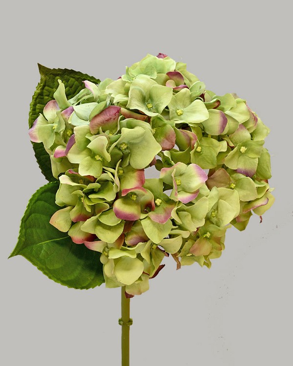 Hydrangea 18" Green/Purple