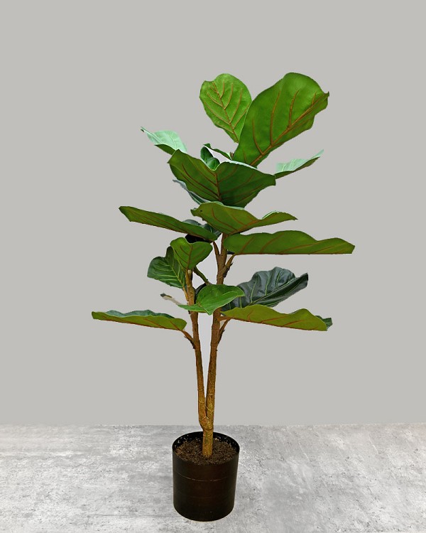 Fiddle Leaf Tree 40"H