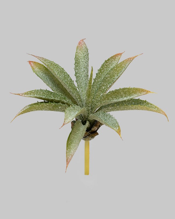 Frosted Aloe Bush 9" Green