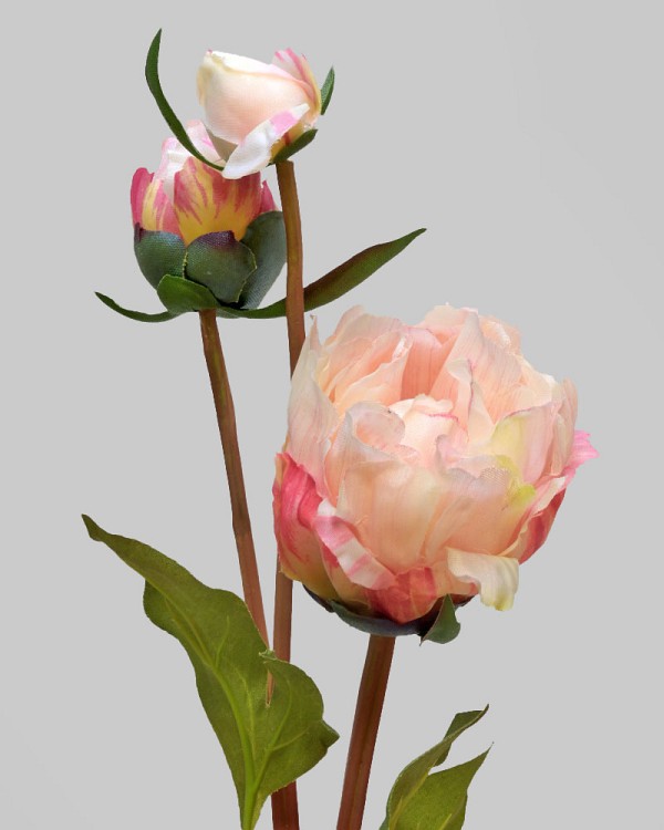 Peony Buds 19" Pink