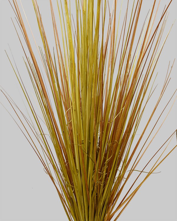 Onion Grass Bush 40" Brown/Green