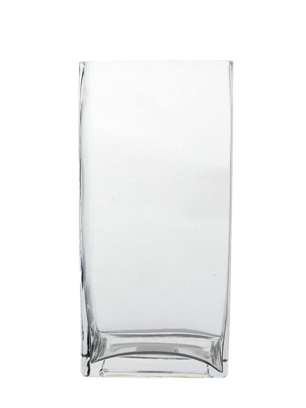 Rectangular Clear Glass Vase 10"H