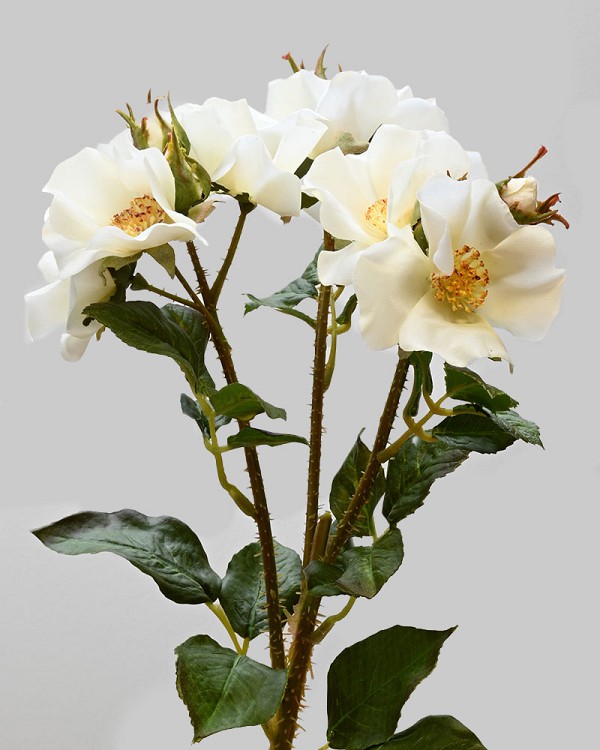 Trailing Rose Spray 23" White