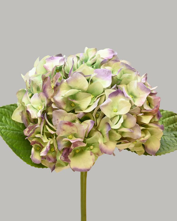 Hydrangea 18" Light Green/Purple
