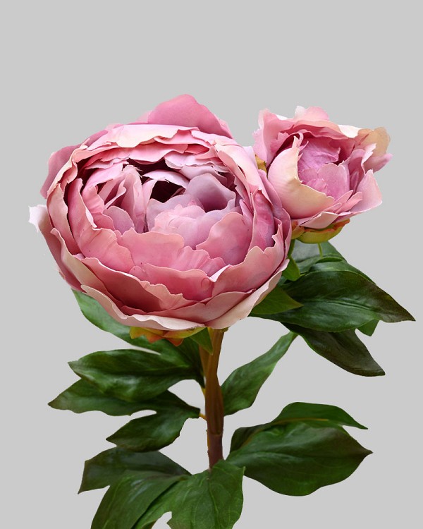 Peony 27" Deep Lavender