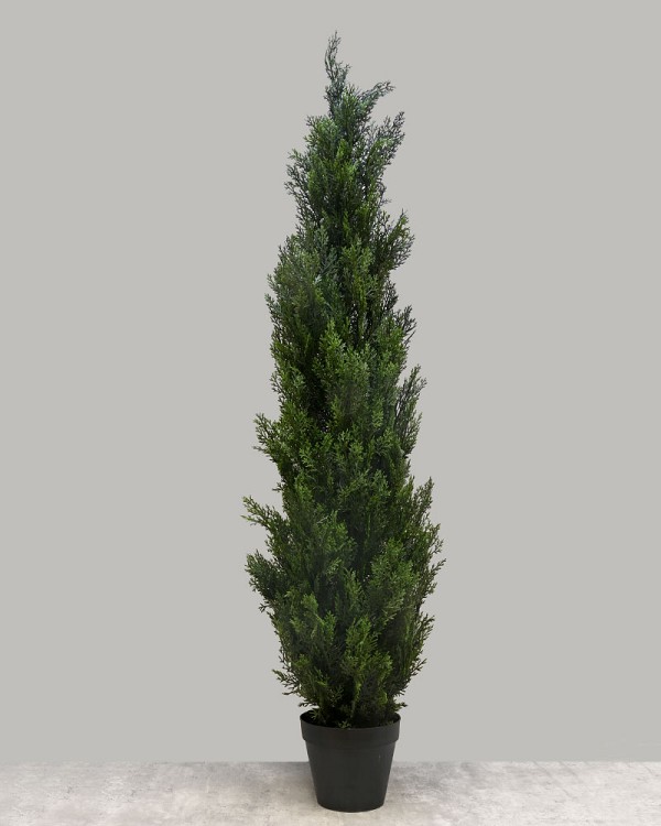 Cedar Tree 60"H