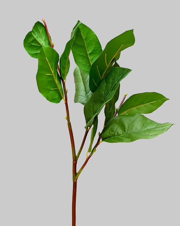 Salal Greenery 19.5" Green