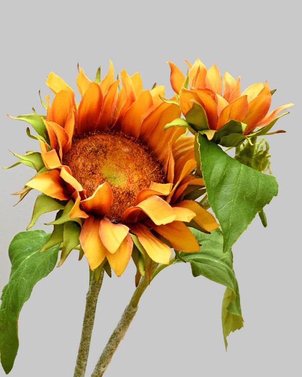 Sunflower 30.5" Gold/Brown