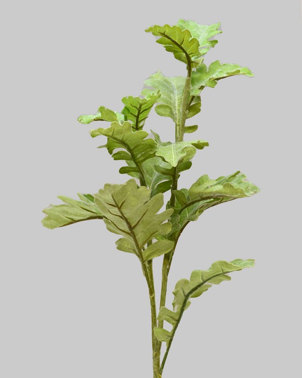 Dusty Miller 22" Green