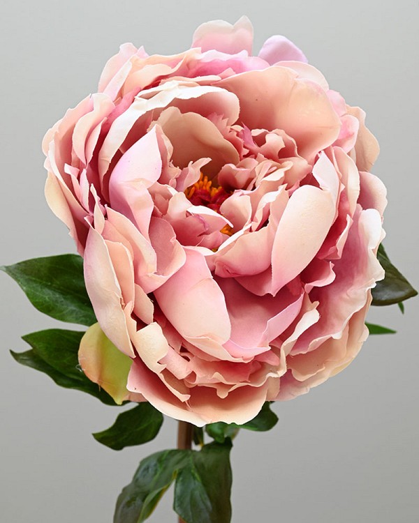 Peony 20.5" Deep Lavender