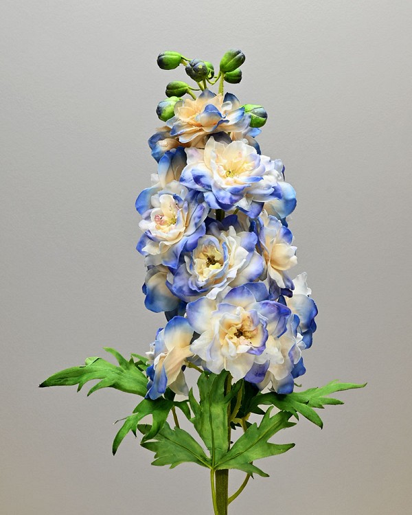 Delphinium 24" Blue/Cream