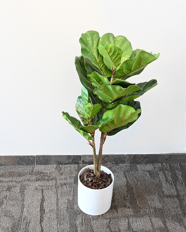 Fiddle Leaf Plant Tree 40" Green