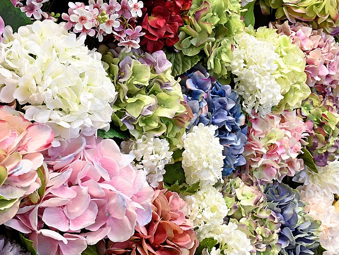 Click to view our flower glossary page